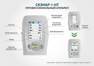 СКЭНАР-1-НТ (исполнение 01)  в Саратове купить Медицинский интернет магазин - denaskardio.ru 